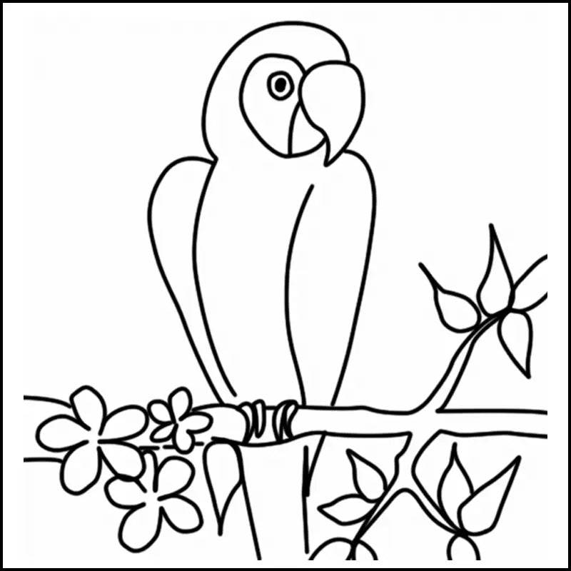 coloriage perroquet à imprimer 1