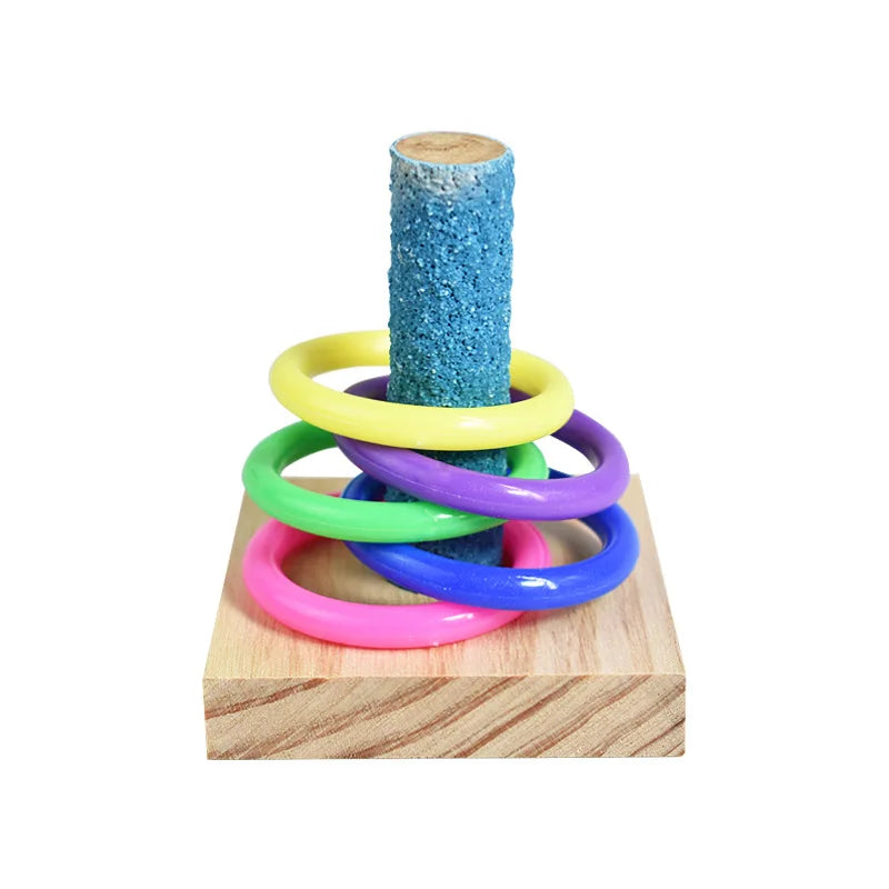 Ensemble de jouets d’entraînement d’oiseaux