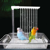 Fontaine de bain automatique polyvalente pour perroquet