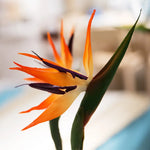 Home Decoration Bird of Paradise Artificial Flower