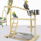 Jouets interactifs en bois pour perroquet