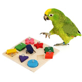 Jouets interactifs pour perroquet