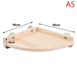 Planche de support en bois pour perroquet