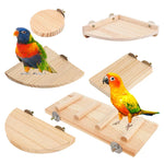 Planche de support en bois pour perroquet