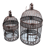 Cage de transport pour perroquet d’occasion