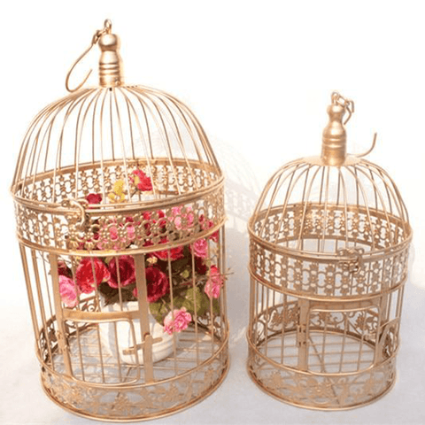Cage de transport pour perroquet d’occasion