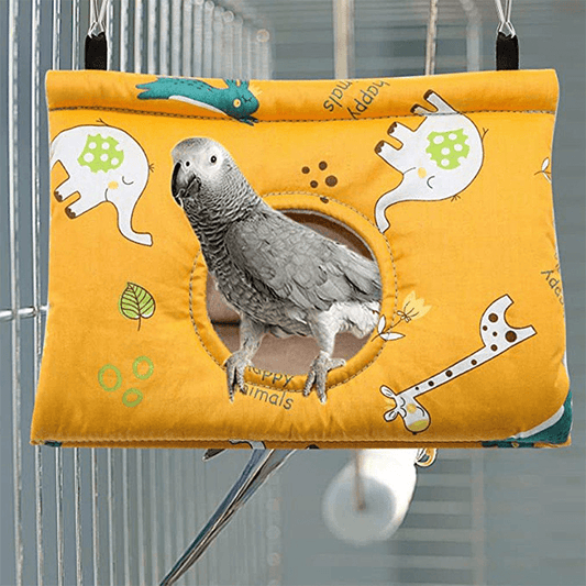 Cages de transport pour perroquets