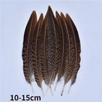 Décoration plume perroquet