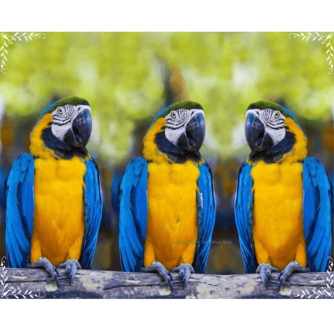 Image pour tableau 3D perroquets