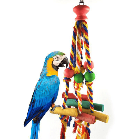 Jouet corde perroquet