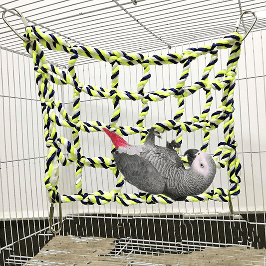 Jouet perroquet corde bois