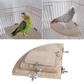 Jouets en bois naturel perroquet