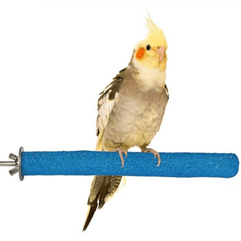 Jouets et accessoires pour perroquets