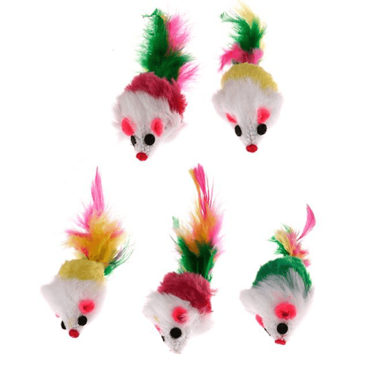 Jouets grand perroquet