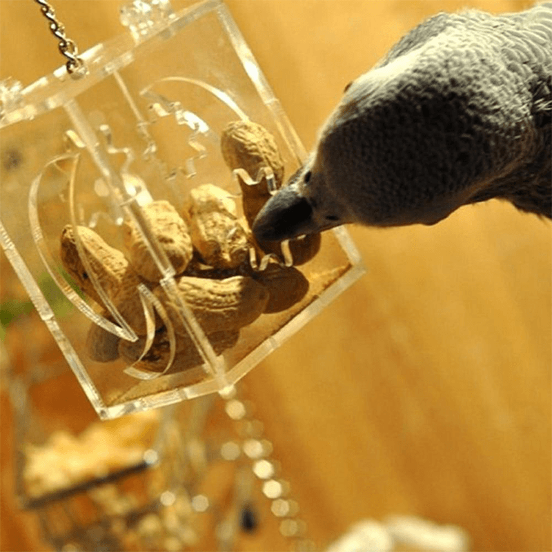 Mangeoire cage perroquet