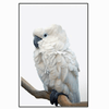 Peinture de perroquet sur toile