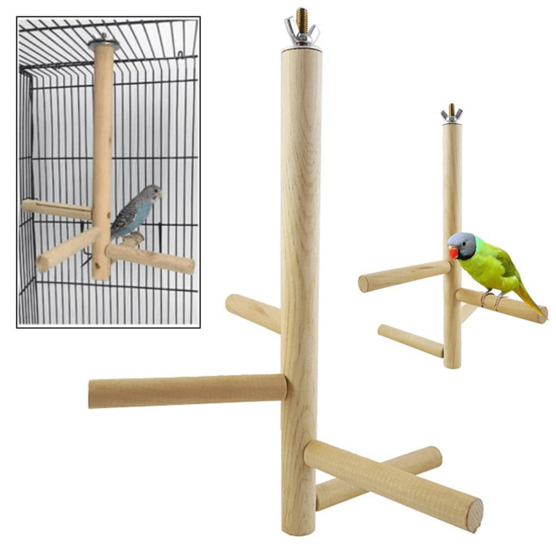 Perchoir en bois pour perroquet