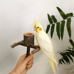 Perchoir perroquet en bois
