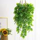 Perroquet plante verte