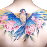 Perroquet tatouage dos