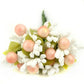 Plante fleur de perroquet