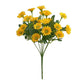 Plante fleur perroquet