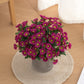 Plante fleur perroquet
