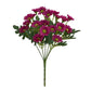 Plante fleur perroquet