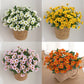 Plante fleur perroquet
