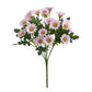 Plante fleur perroquet