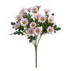 Plante fleur perroquet