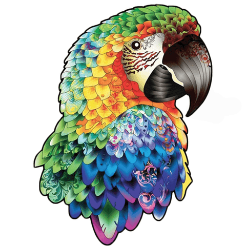 Puzzl perroquets multicolors