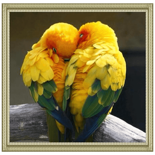 Tableau de perroquet amoureux