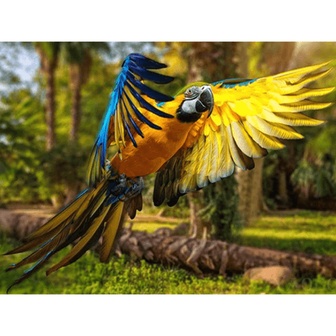 Tableau tropical perroquet