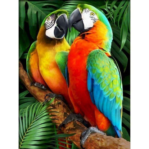 Toile animaux coloré perroquet