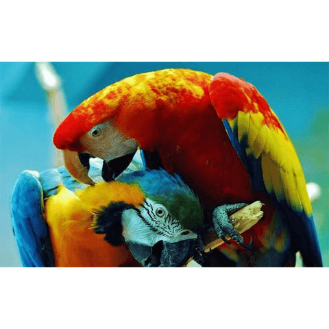 Toile imprimée perroquets