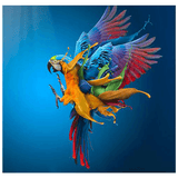 Toile multicolor perroquet