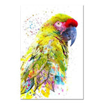 Toile perroquets multicolores