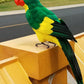 Une figurine perroquet